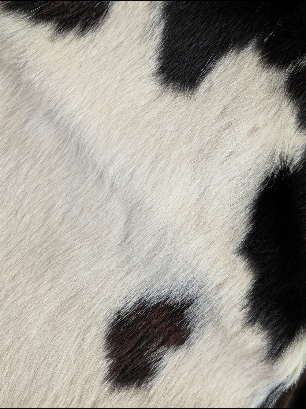 Cowhide Leather Crossbody Bag | Made in Italy Maurizio Taiuti Coastal Cowgirl - Picture 2 of 16